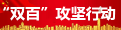 “双百”攻坚行动